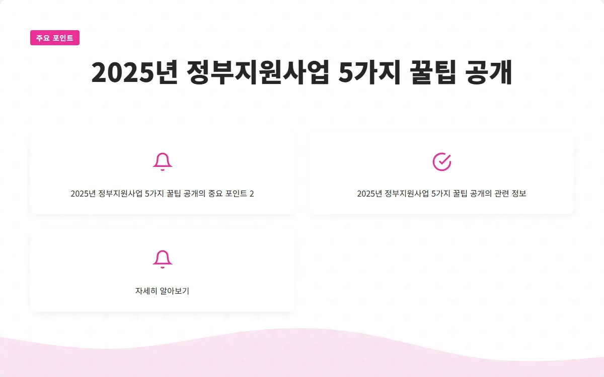 2025년 정부지원사업 이미지 4