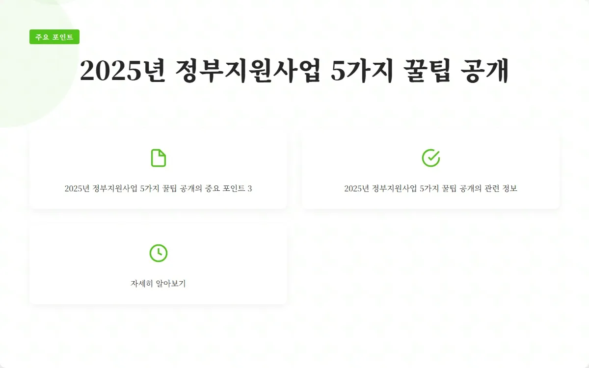 2025년 정부지원사업 이미지 5