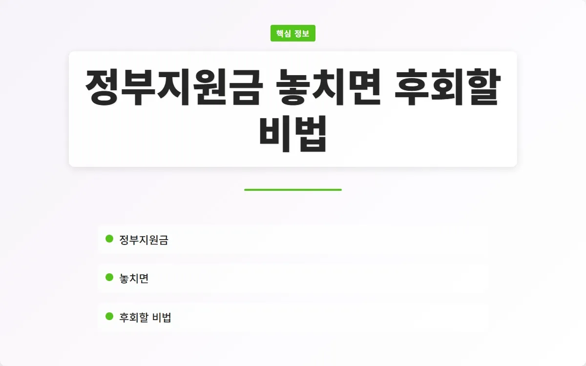 정부지원금 이미지 1