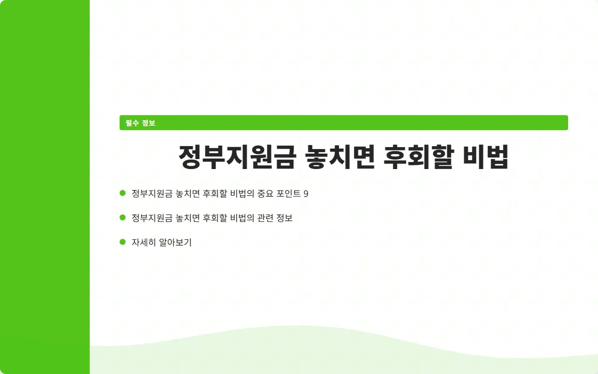 정부지원금 이미지 2