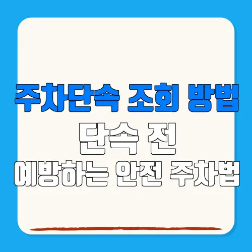 주차단속 조회 방법단속 전예방하는 안전 주차법
