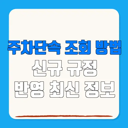 주차단속 조회 방법신규 규정반영 최신 정보
