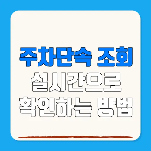 주차단속 조회실시간으로확인하는 방법