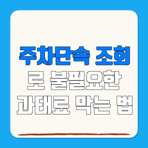 주차단속 조회로 불필요한과태료 막는 법