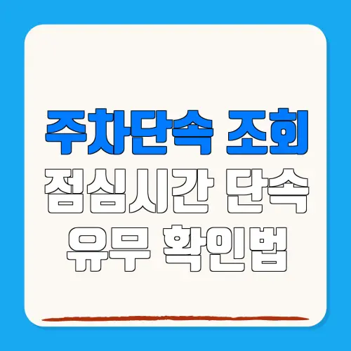 주차단속 조회점심시간 단속유무 확인법