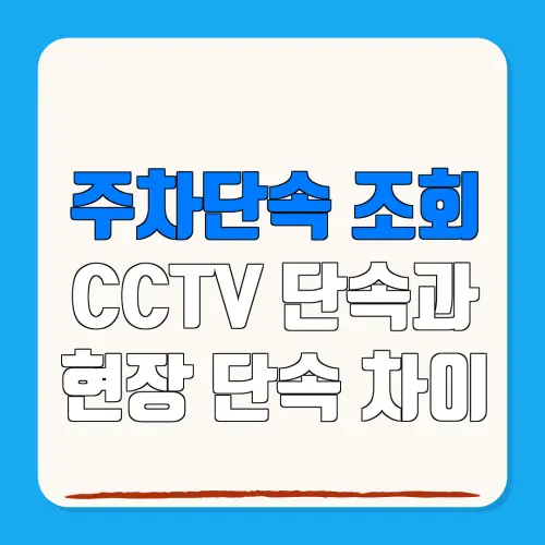 주차단속 조회CCTV 단속과현장 단속 차이