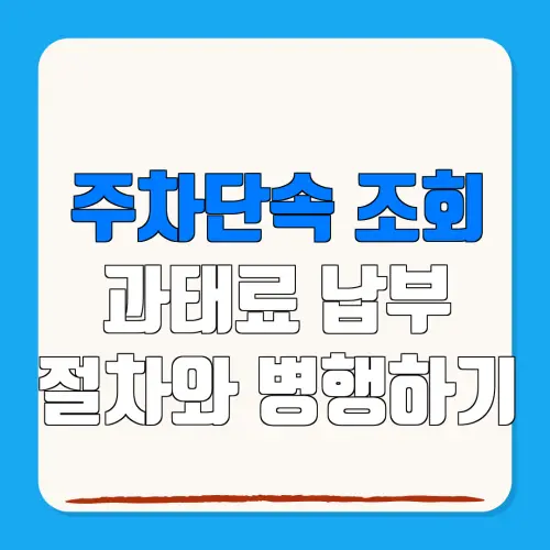 주차단속 조회과태료 납부절차와 병행하기