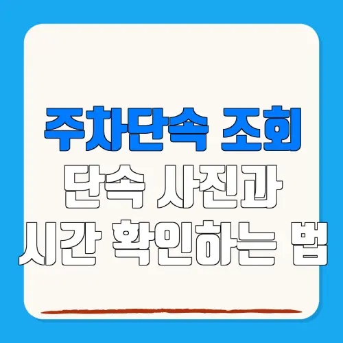 주차단속 조회단속 사진과시간 확인하는 법
