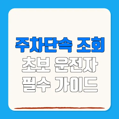 주차단속 조회초보 운전자필수 가이드