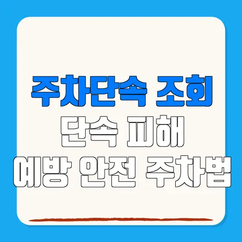 주차단속 조회단속 피해예방 안전 주차법