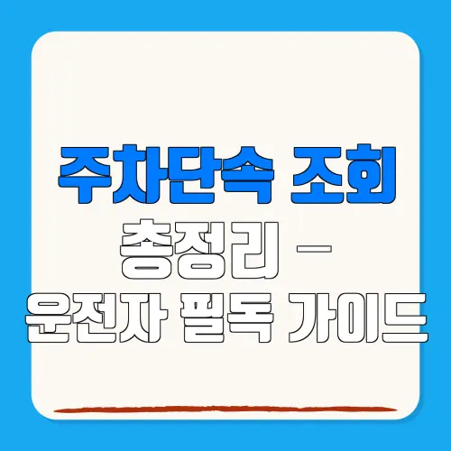주차단속 조회총정리 –운전자 필독 가이드