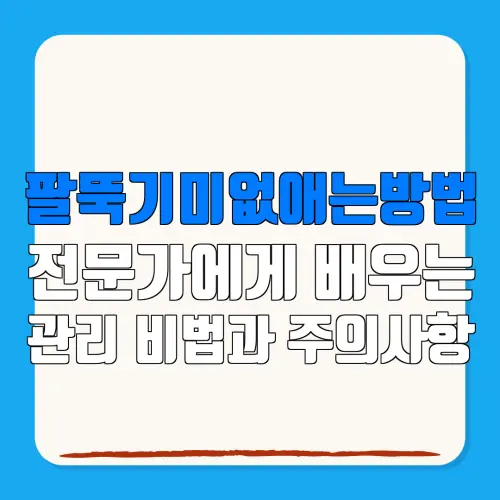 팔뚝기미없애는방법전문가에게 배우는관리 비법과 주의사항