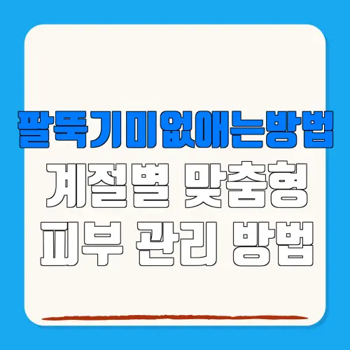 팔뚝기미없애는방법계절별 맞춤형피부 관리 방법