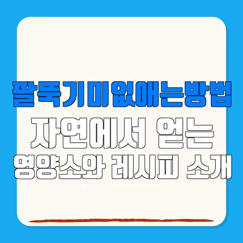 팔뚝기미없애는방법자연에서 얻는영양소와 레시피 소개